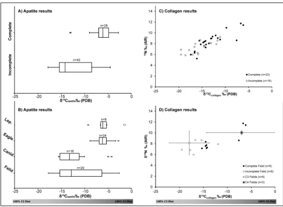 Fig 2. Stable isotope results. δ 13 C apatite values for A) complete and incomplete carnivores (excludes all leporidae) and B) animal type (Lep