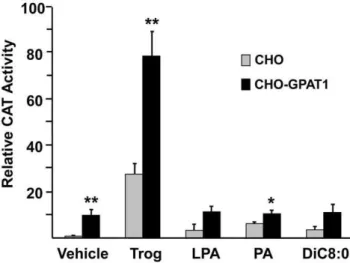 Figure 5. Overexpression of GPAT1 in CHO cells enhanced the effects of fatty acid treatments on PPARc activity