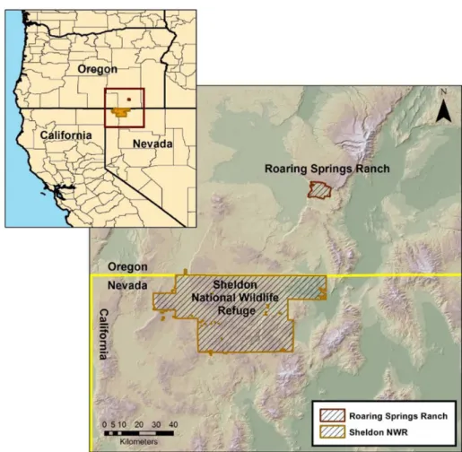Figure 1. Pilot and in-field study site locations. The Roaring Springs Ranch (pilot study) is located in southeast Oregon