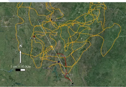 Figura 1 – Topografias de Corpo de baile e Grande sertão: veredas entre os estados de Minas Gerais,   Bahia e Goiás e do Distrito Federal (fonte: Google Earth) 9 10