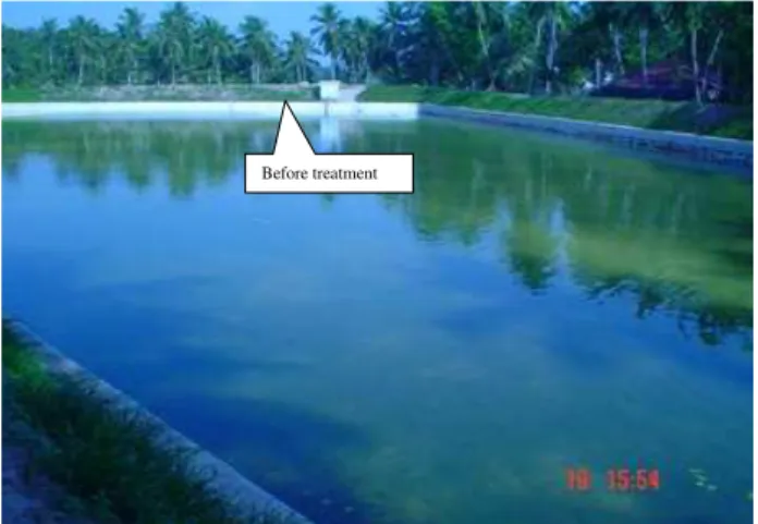 Fig. 2b. Pond after treatment.