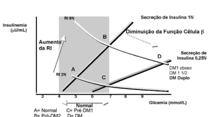 Figura 1. Associação  entre  a  resistência  à  insulina  (RI)  e  a capacidade secretora de insulina (função da célula beta) no controle da glicemia