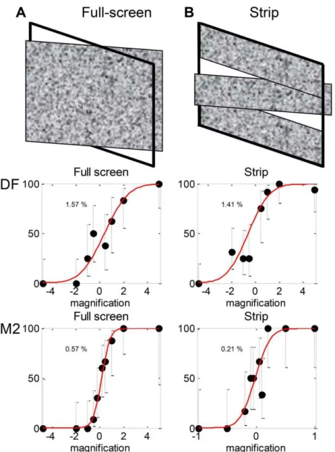 Figure 14B). The fact that DF was able to benefit from the relative disparity provided by this second plane suggests that it was the relative disparity, not the motion per se, which enabled her excellent performance on the rotating cylinder task