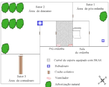 Figura 1. Esquema de localização dos setores de pós- pós-ordenha, área de descanso e comedouro