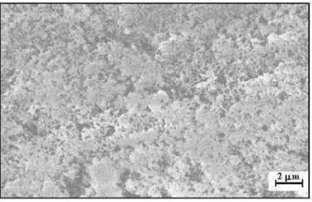 Fig. 5. Fragment of X-ray diffraction patterns of the 97 wt. 