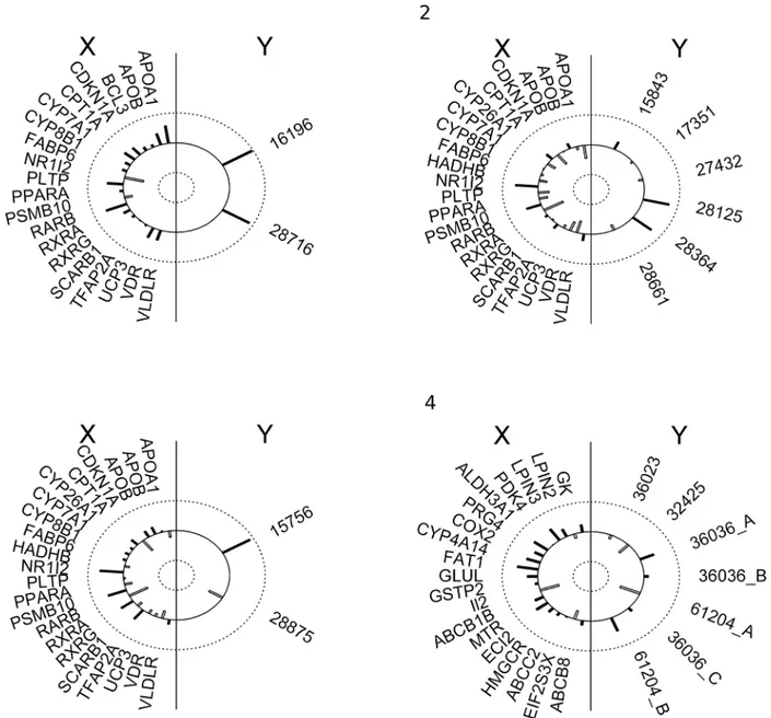 Fig 3. Graphical presentation of the first canonical correlation for each group (1–4)