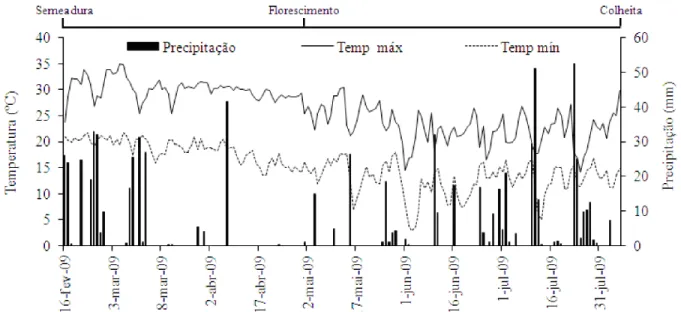 Figura 1. Dados diários de temperaturas máximas e míninas e de precipitação pluviométrica durante o período de  condução do experimento