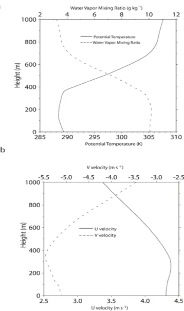 Fig. 1. Vertical profiles of (a) initial potential temperature and water vapor mixing ratio and (b) initial horizontal wind (u, v) velocity for the CSRM run.