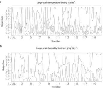 Fig. 3. Time series of surface sensible (SH) and latent (LH) heat fluxes (W m −2 ) (a) for the CSRM run and (b) time series of LH surface fluxes for the CSRM-LH run.