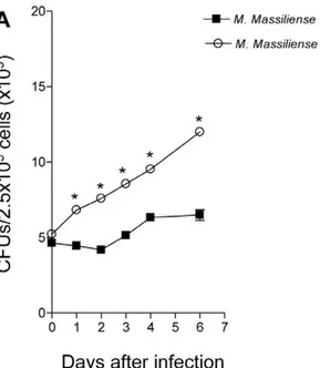 Figure 2. Increased bacteria in the lungs and spleens of the Brazilian epidemic strain M