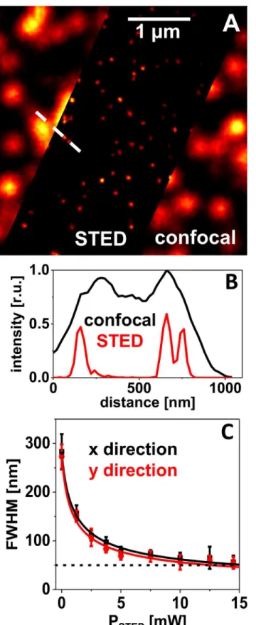 Fig 3. Diffraction-unlimited imaging of crimson beads. (A) Confocal and STED image of the same preparation of 20 nm crimson beads on a glass substrate, embedded in Mowiol/DABCO