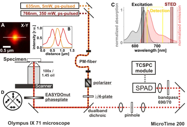 Fig 1. Setup realizing a STED upgrade. Components integrated into the MicroTime 200 confocal microscope (PicoQuant, Germany) in order to reach diffraction-unlimited imaging are underlined