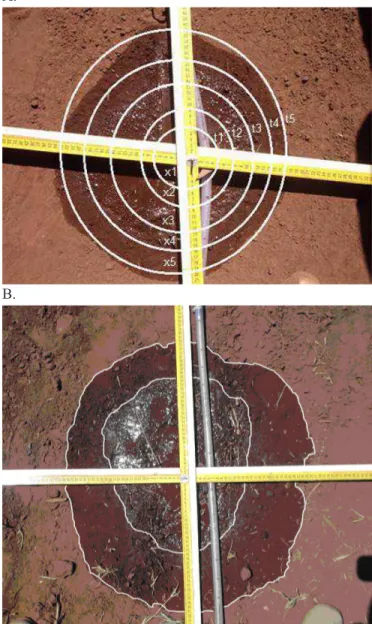 Figura 1. Croqui e disposição do sistema multigotejador Depois de instalado o sistema multigotejador no campo  e  com  auxílio  de  um  cronômetro,  iniciou-se  a  irrigação  e  se mediu, em intervalos de 5 min, a distância do ponto de  fornecimento d’água