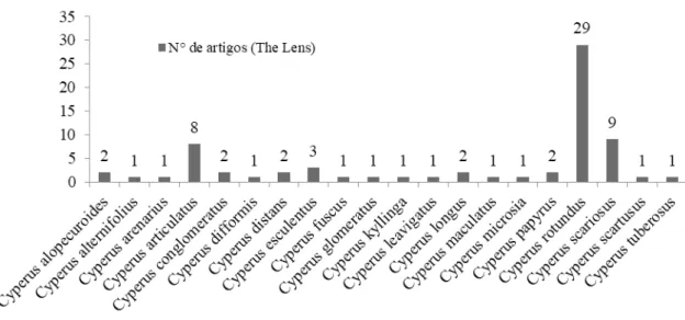 Figura 7. Investigação de espécies de Cyperus com o óleo essencial estudado.