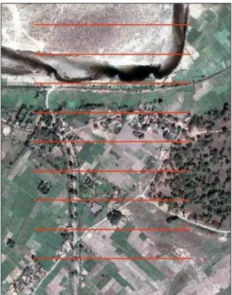 Figure 1. Flight plan. Axis of flight lines are marked red. 