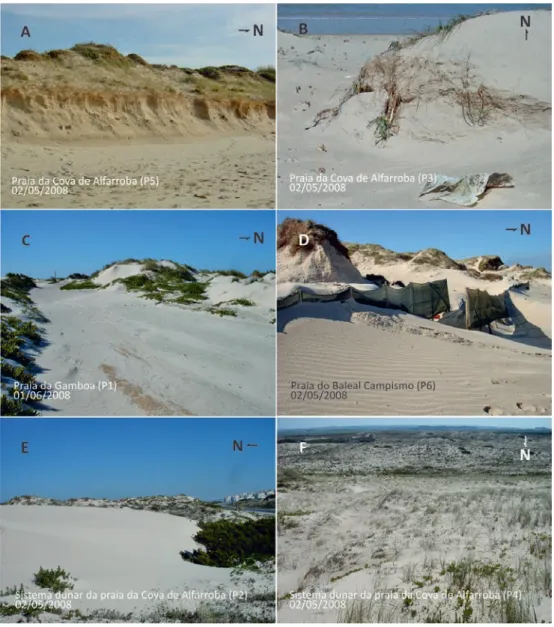fig. 4 – Micro‑arriba de erosão marinha na duna frontal (a); Degradação da vegetação dunar  por acção do mar (B); Caminho não ordenado sobre crista de duna frontal (C); Presença de brechas 