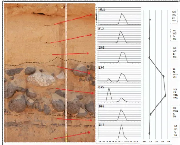 Fig. 3 – A detail of the studied outcrop and the results of sand statistical parameters