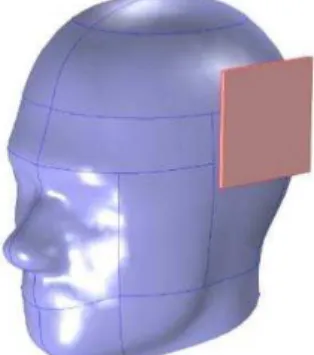 Fig. 1 – Electric field strength simulations using the artificial  (phantom) head and a mobile phone