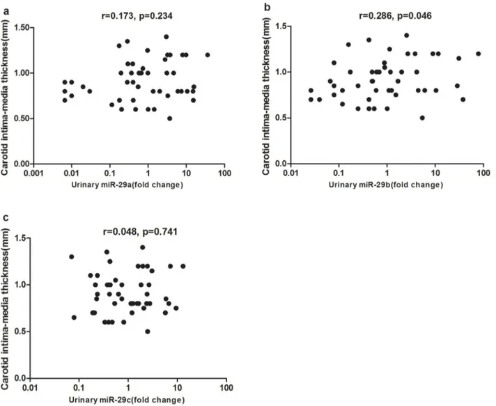 Figure 4. Correlation between urinary miR-29 members and carotid intima-media thickness (cIMT)