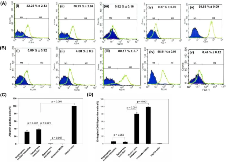Figure 6. Assessment of hepatic trans-differentiation efficiency of hMSCs. Representative flow cytometry data showing average number of albumin positive cells (A) and endoglin (CD105) positive cells (B) after hepatic trans-differentiation of hMSCs in hepat