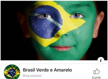 Figura 1 – Foto de página inicial do grupo “Brasil Verde e Amarelo”