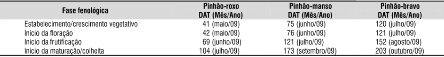 Tabela 2. Fenologia de plantas de pinhão-manso, bravo e roxo determinada em condições de campo*, durante  período chuvoso