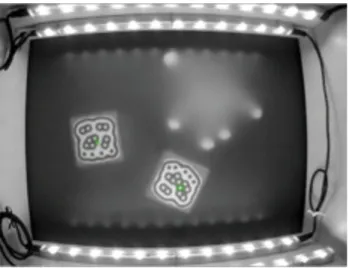 Figure 2. Interior view of the Gestus system, showing fiducial objects and fingers touching the touch surface