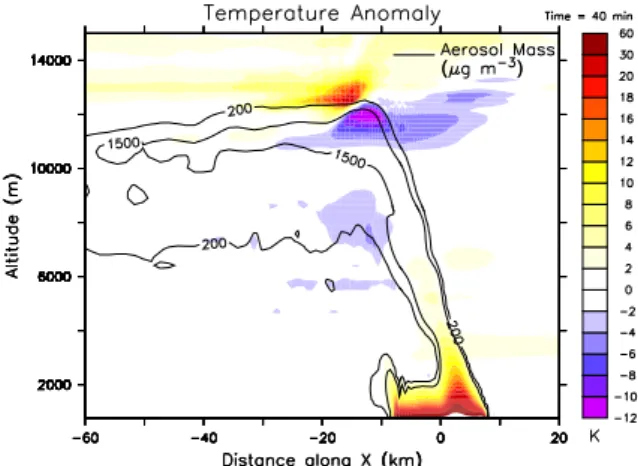 Fig. 10. Simulated updraft velocity (color coding) and aerosol mass concentration (contour lines) after 40 min along the cross section at y=0.