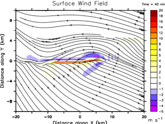 Figure 8 presents streamlines of the horizontal wind and the vertical wind velocity at 1000 m a.s.l