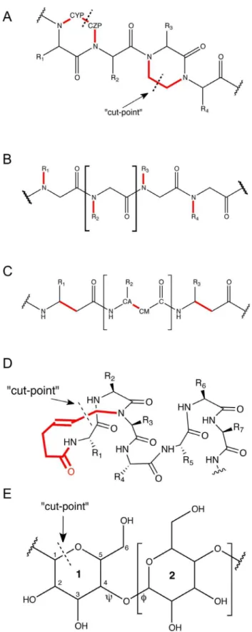 Figure 1. Chemical structures of noncanonical backbones in Rosetta. A) Oligooxopiperazines (OOP), B) Peptoids, C) b 3 -peptides, D) Hydrogen Bond Surrogate (HBS) helices, E) Oligosaccharides