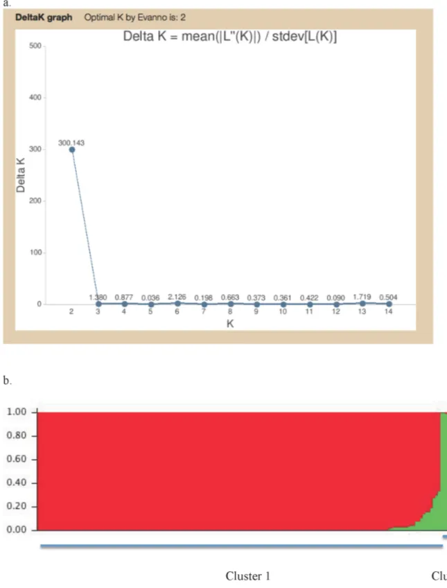 Fig 5. STRUCTURE output. Output from STRUCTURE separating the total Colletotrichum fructicola sample into two distinct clusters: (a) The relationship between K and Delta K; and (b) The two major clusters