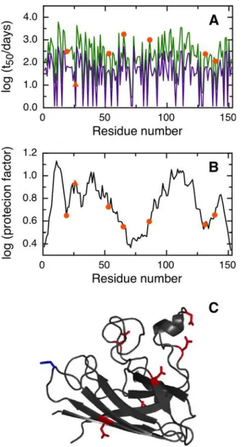 Fig 3. Prediction of asparagine deamidation for the human superoxide dismutase protein using NGOME and sequence-only methods