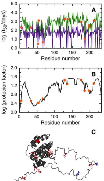 Fig 4. Prediction of asparagine deamidation for the human BCL-xL protein using NGOME and sequence-only methods