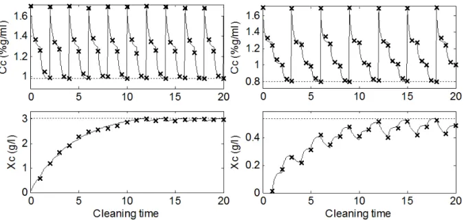 Figure 9.  Pilot scale CIP plant.