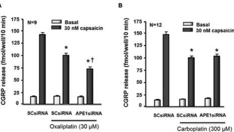 Figure 5. Reducing APE1 expression enhances the ability of oxaliplatin but not carboplatin to reduce capsaicin-evoked release of CGRP from sensory neurons in culture