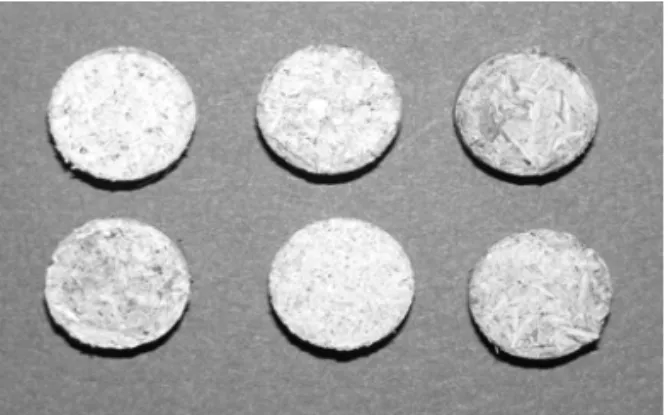 Figure 4. Tablets for investigation of ash content, sulphur and high   calorific value of briquettes made from different raw material