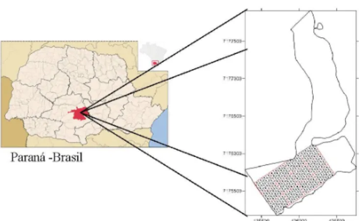 Figura 1. Localização da propriedade no Estado do  Paraná, coordenadas e melhor posição de  estabeleci-mento das grades e pontos dentro da área de estudo