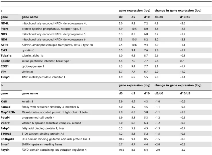 Table 2. Results of gene array analysis in urinary exosomes of rats during the course of PAN.