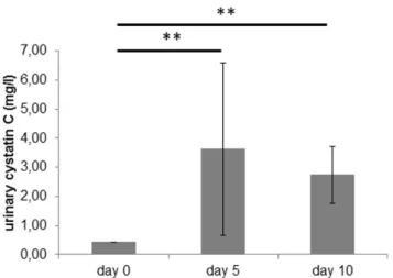 Figure 5. Urinary cystatin C expression. Cystatin C excretion in the urine (mg/l) of rats with PAN on the different days after induction of PAN