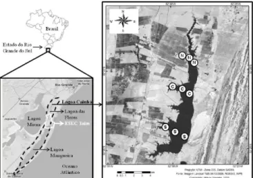 Figura 1. Localização do Sistema Hidrológico do Taim  (delimitado pela linha tracejada), da Estação Ecológica  do Taim (ESEC Taim), da lagoa Caiubá e dos pontos  de amostragem na sua região Norte (N), Central (C)  e Sul (S)