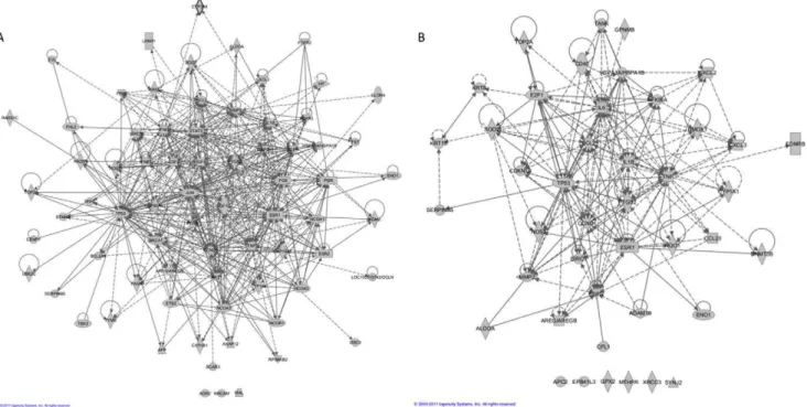 Figure 4. CTD web interface data tables with ranked C–D relationships. A) all curated and inferred C–D relationships for BPA (first page only), and B) all curated and inferred C–D relationships for breast neoplasms (first page only) sorted by descending va