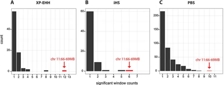 Figure 3. Genome-wide distribution of significant selection windows. The distribution of the significant windows of the three different selection tests results (A) XP-EHH, (B) iHS and (C) PBS for the Northeastern Siberian populations