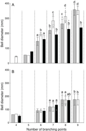Fig 6. Relationship between bell diameter and number of branching points (i.e., age) in Aurelia medusae from the Gulf of Mexico