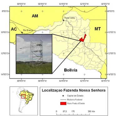 Figura 1. Estação micrometeorológica do Programa  LBA, Ouro Preto do Oeste, Rondônia