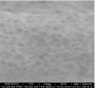 Fig. 6:  Transmission  electron  micrograph  representation of curcumin formulation 