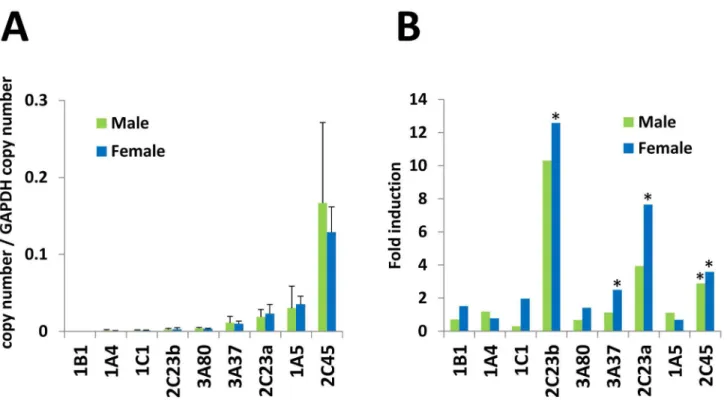 Table  2.  Activity  of  CYP2C  proteins  assayed  with  P450- P450-Glo. Luciferin-H      Luciferin-ME  Chicken CYP2C23a 196.3 ± 6.3 1 1869.0 ± 63.5 a Chicken CYP2C23b 62.7 ± 3.8 b 236.3 ± 9.2 b Chicken CYP2C45 12.7 ± 3.8 c 142.7 ± 6.7 b Rat CYP2C11 262.7 