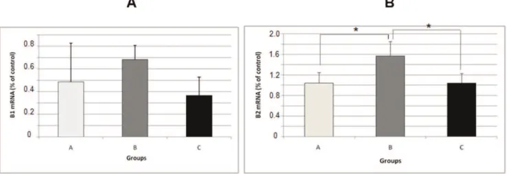 Figure 5 - mRNA expression levels of IL1b (A) and TNFa (B) in the hippocampus of rats in the pilocarpine model of epilepsy as evaluated with a real-time PCR assay