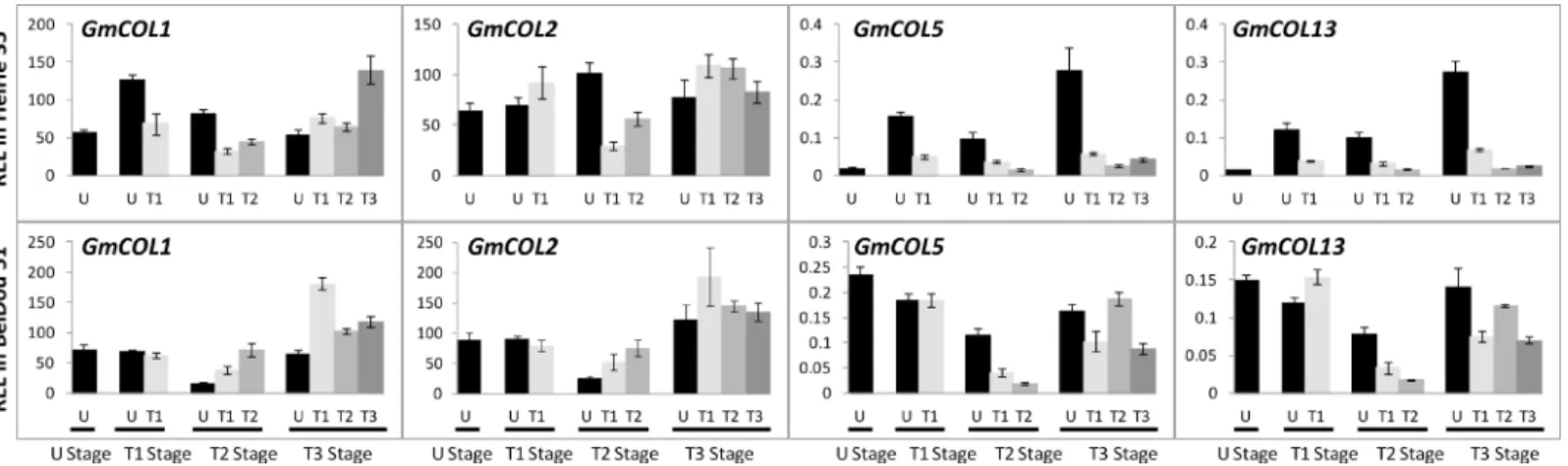 Fig 7. Relative expression level analyses of GmCOL s in different leaves in cultivars Heihe 35 and Beidou 51 at different stages