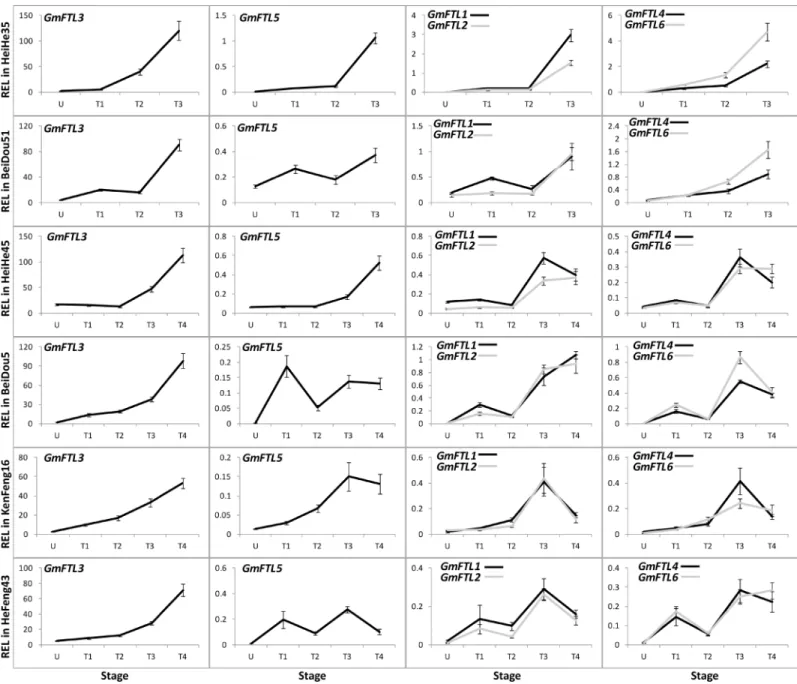 Fig 3. Relative expression levels of GmFTL s in six soybean cultivars at different stages