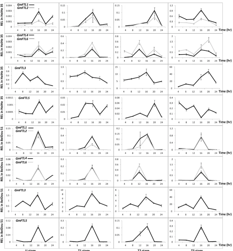 Fig 5. The diurnal rhythm of GmFTL expression in cultivars Heihe 35 and Beidou 51 at different stages